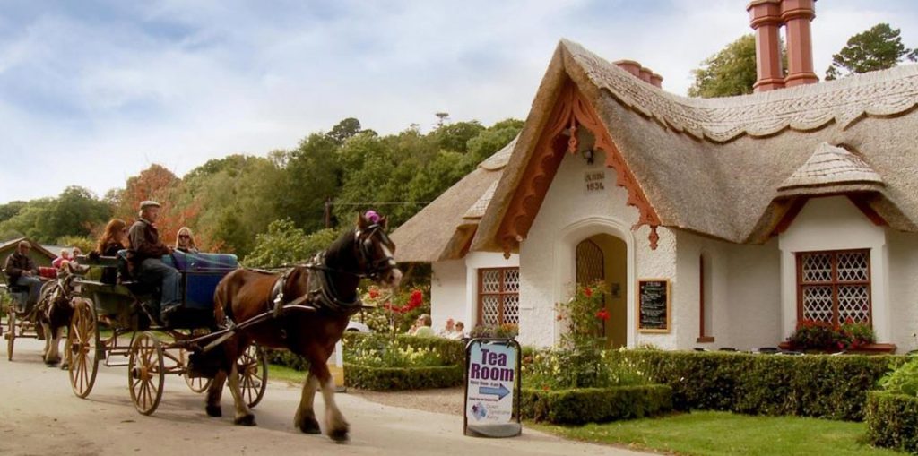 Tangney’s of Killarney based in Kerry, South West of Ireland. We are a 6th generation family local tour business providing traditional Irish guided tours in Killarney National Park & surrounds.